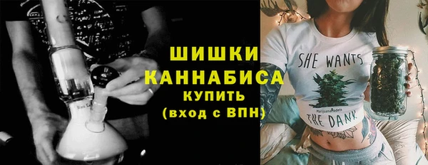 гидропоника Медногорск