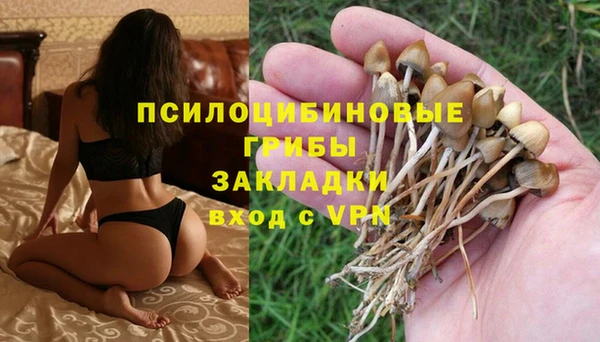 гидропоника Медногорск