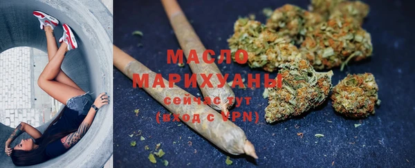 гидропоника Медногорск