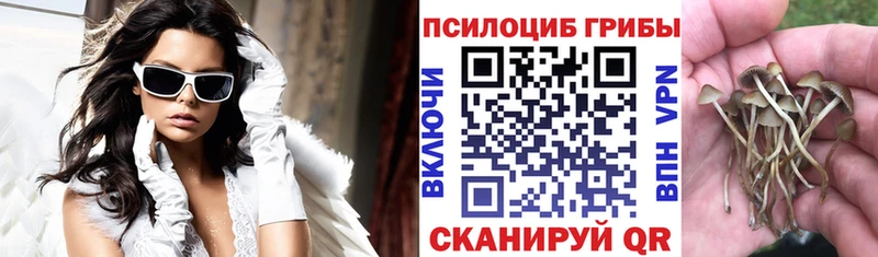Псилоцибиновые грибы MAGIC MUSHROOMS  Свирск 